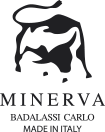 minerva_02