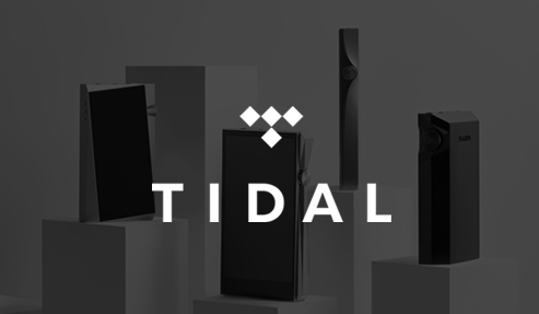 Notice about Embedded Tidal APP